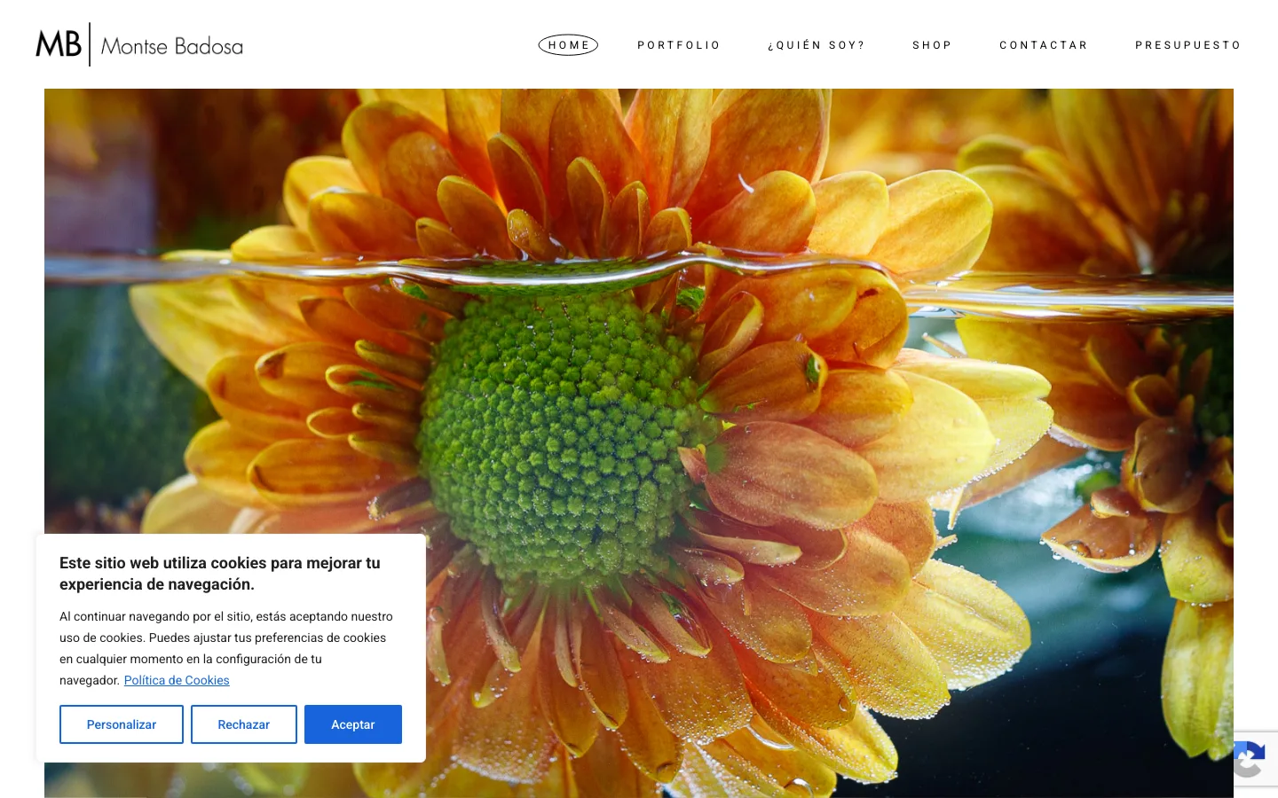 Site Montse Badosa
